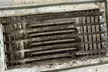 Get Mold Inspection + $250 Toward Removal from Certified Experts Up to90% Off at Mold Shield Restoration - Second Medium