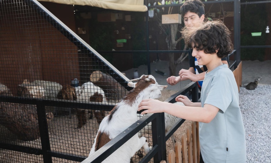 Image 13: Child or Adult Entry with Animal Feeding Drinks Snacks and Game Zone