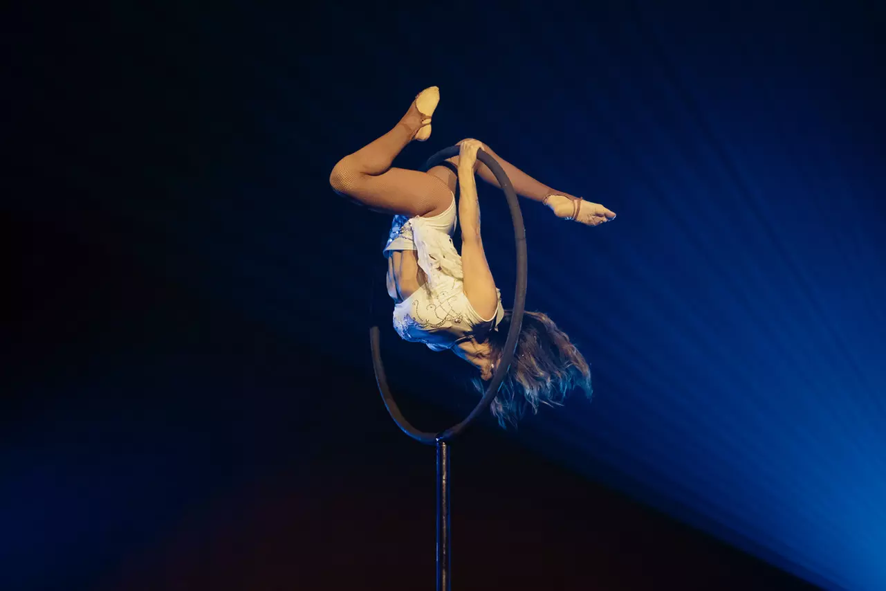 Marinelli Bros Circus - Up to 43% Off