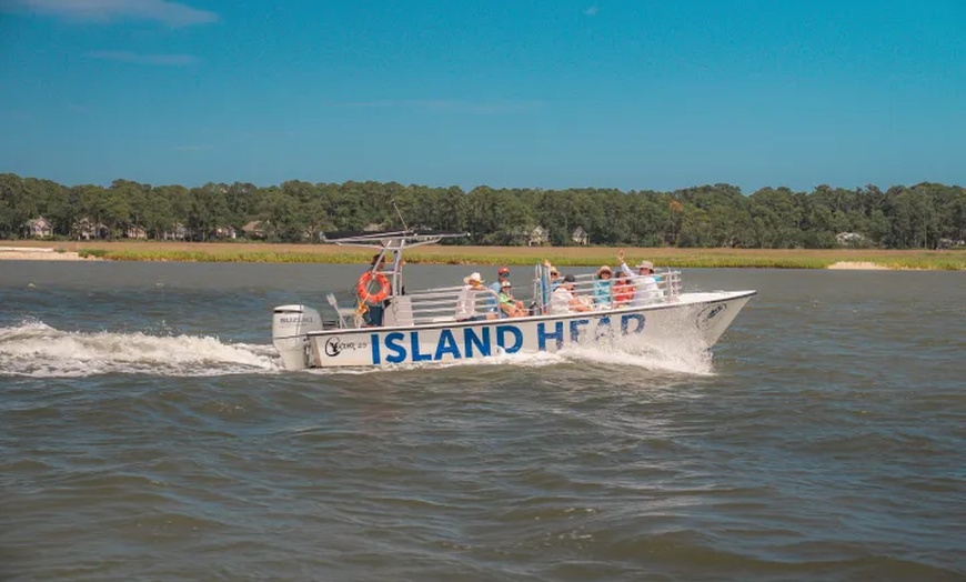 Image 6: All-Ages Guided Dolphin, or Round Trip Ferry Tour w/ Local Guides