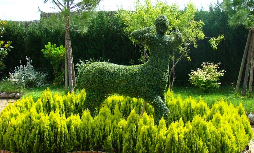 Image 5: Entrada para adulto, niño o packs familiares para El Bosque Encantado