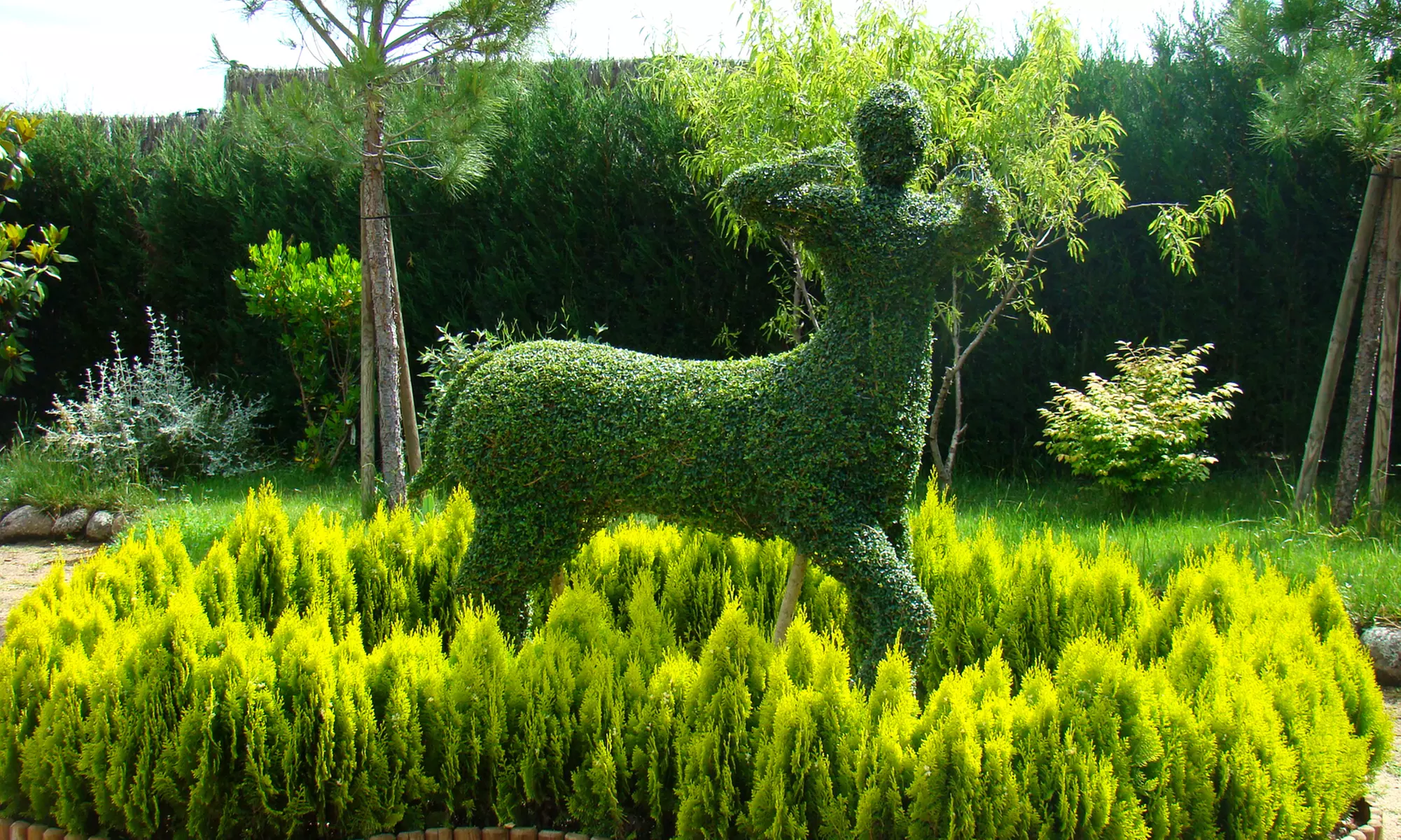 Entrada para adulto, niño o packs familiares para El Bosque Encantado