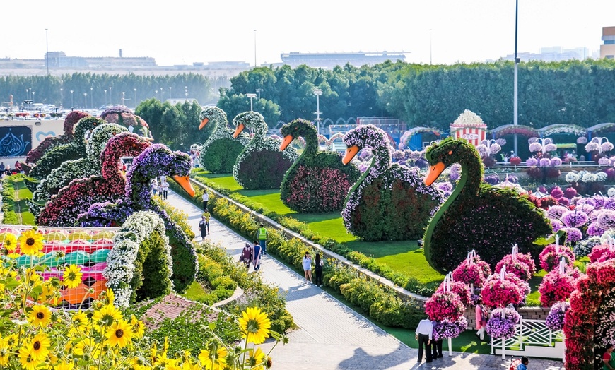 Image 8: Miracle Garden & Global Village Entry from Ultimate Experience Tourism