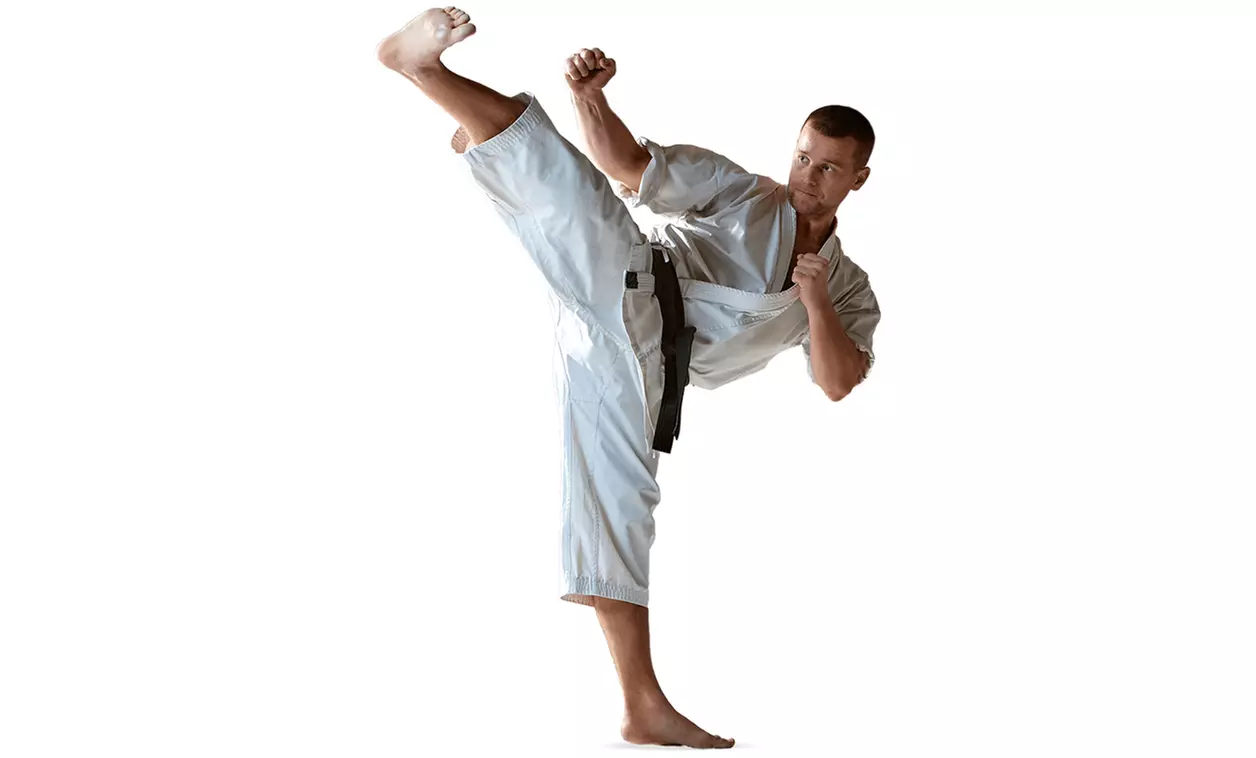 Try One, Four, or Eight Regular Class with Optional for a Month