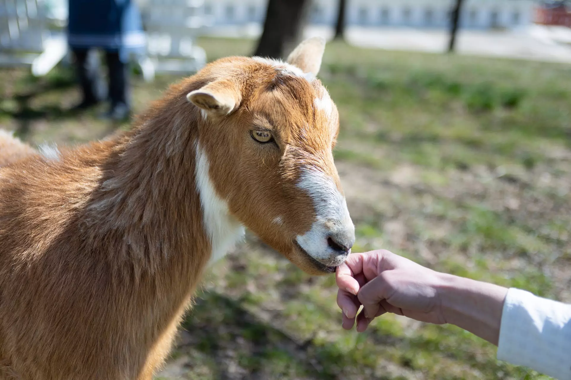 Join Farm Fun with Admission for One, Two, or Four People 