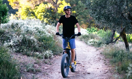 Trottinette électrique tout terrain : balade en autonomie d'une durée de 1h30/2h sur le parcours Vert La Grande Balade