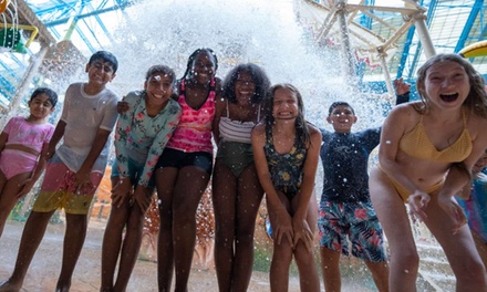 $100 Voucher for any Birthday Party Package - Sahara Sam's Oasis - Berlin Township, NJ