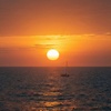 Image 4: Custom Boat Tours: Sunset Cruises, Sandbar & Snorkel Trips for Upto 10