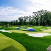 Image 5: Mini Golf Fun at The Social Birdy