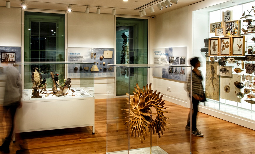 Image 2:  Admission for Two, Three or Four to Staten Island Museum 