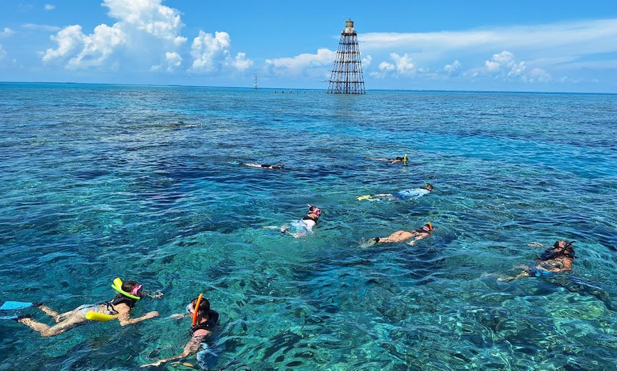 Image 2: Key West Dolphin Watch & Snorkel Tour