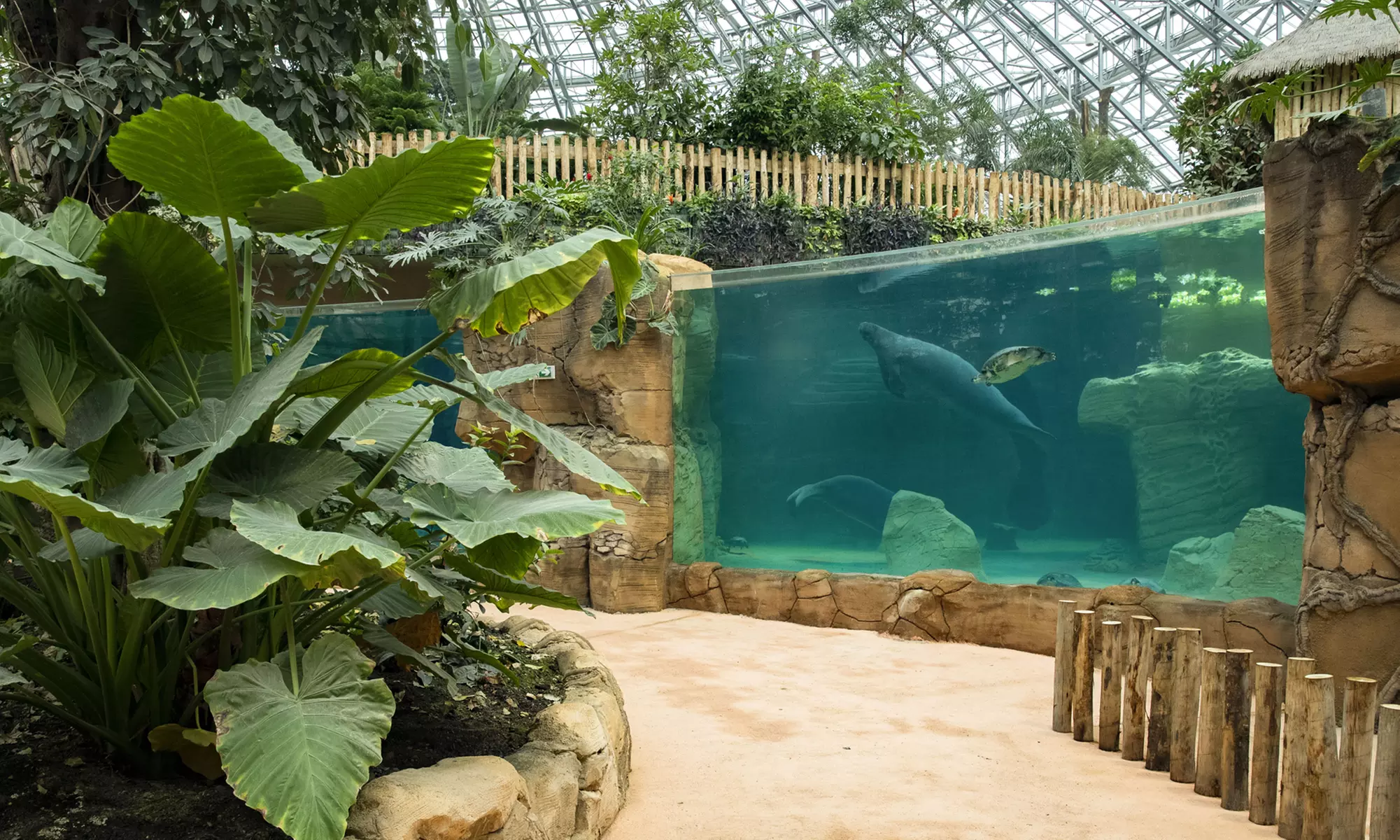 ZooParc de Beauval : 1 ou 2 jours pour un tour du monde animal