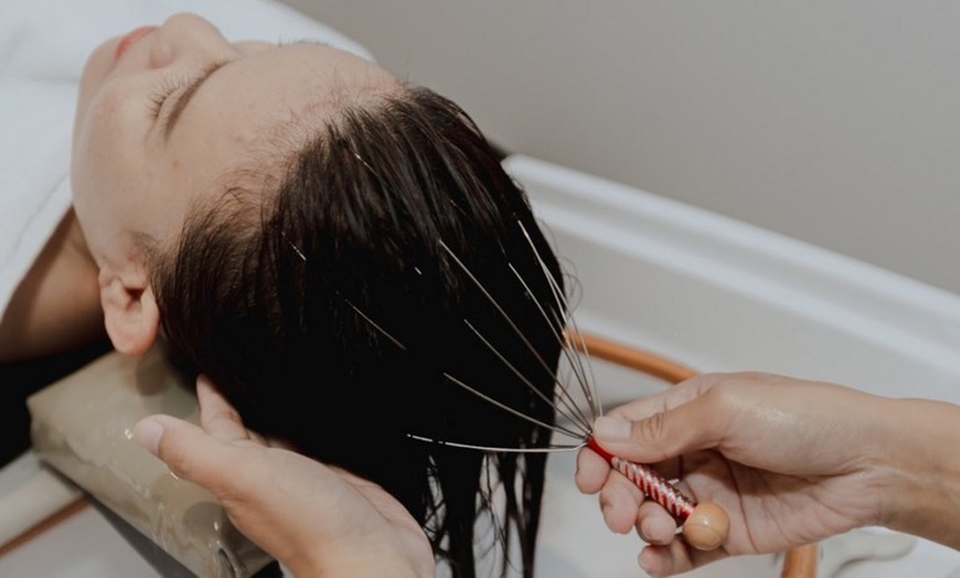 Image 5: Tratamiento de spa capilar a elegir con diagnóstico y masaje para 1