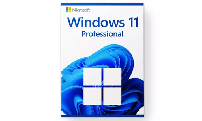 Windows 11 Pro - Lebenslange Lizenz (96% sparen) - Primary Image