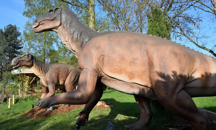 Image 15: Im Zoo sind die Dinos los! Tageskarte Kölner Zoo & Aquarium