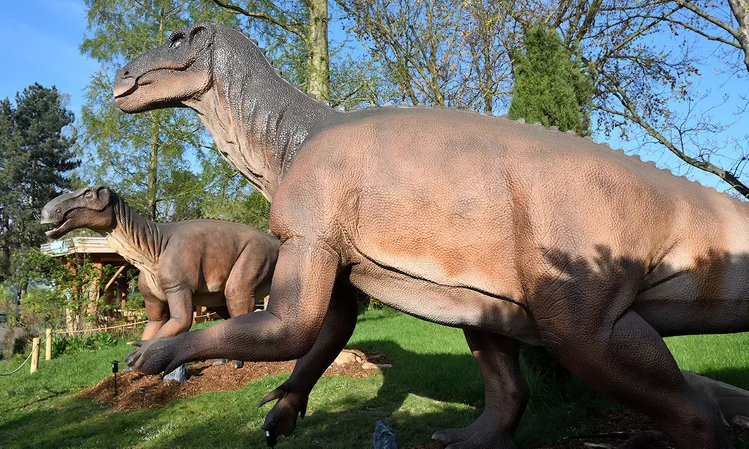 Im Zoo sind die Dinos los! Tageskarte Kölner Zoo & Aquarium
