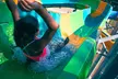 LIMITED TIME OFFER:Hurricane Harbor Splashtown - Up to 50% Off - Second Medium