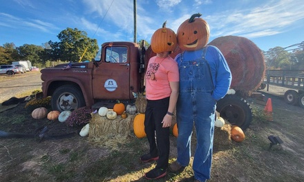 General Admission for 4 + $10 Towards Concessions or Pumpkin Picking - Merk Farms