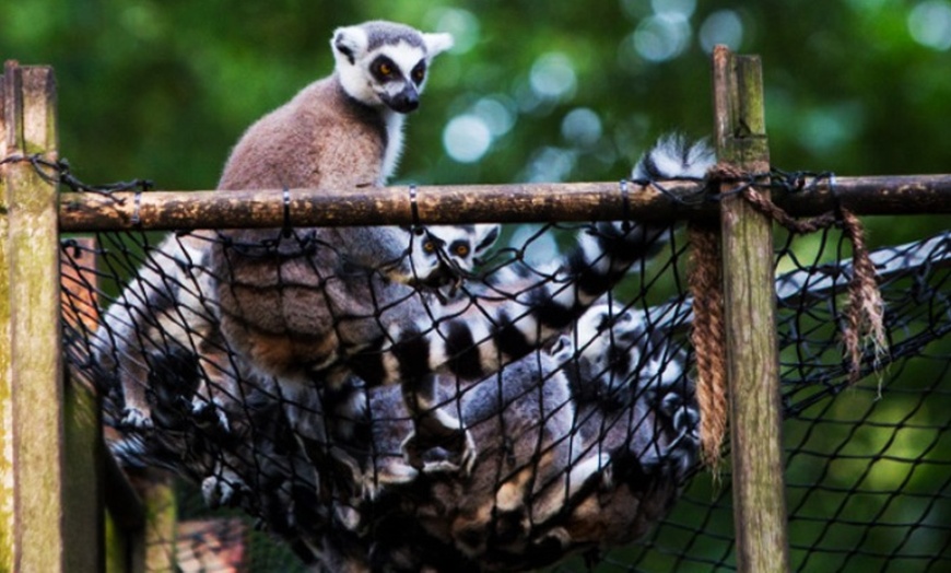 Image 8: Papegaaienpark - ZOO Veldhoven