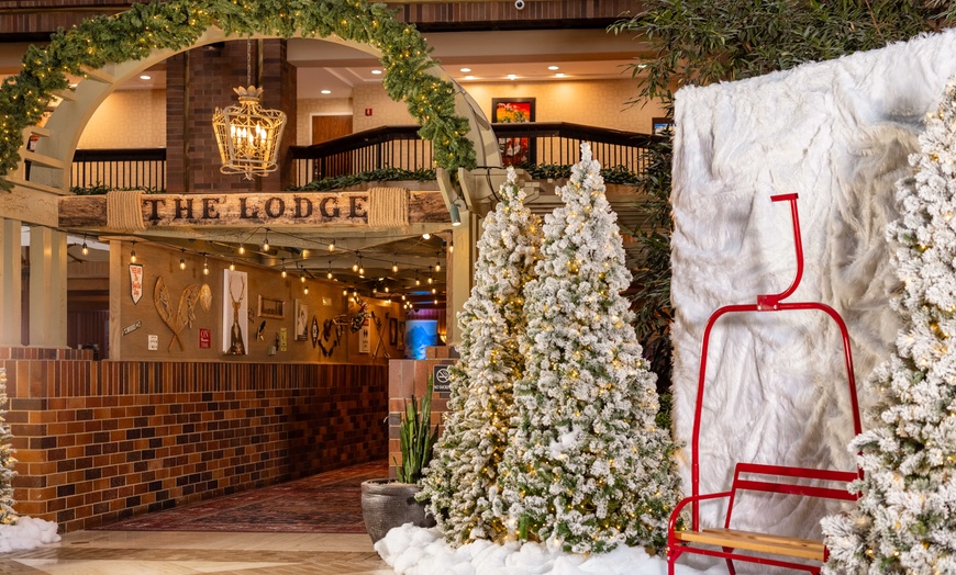 Image 10: Ice Skating & Holiday Fun at Christmas at the Anatole Experience