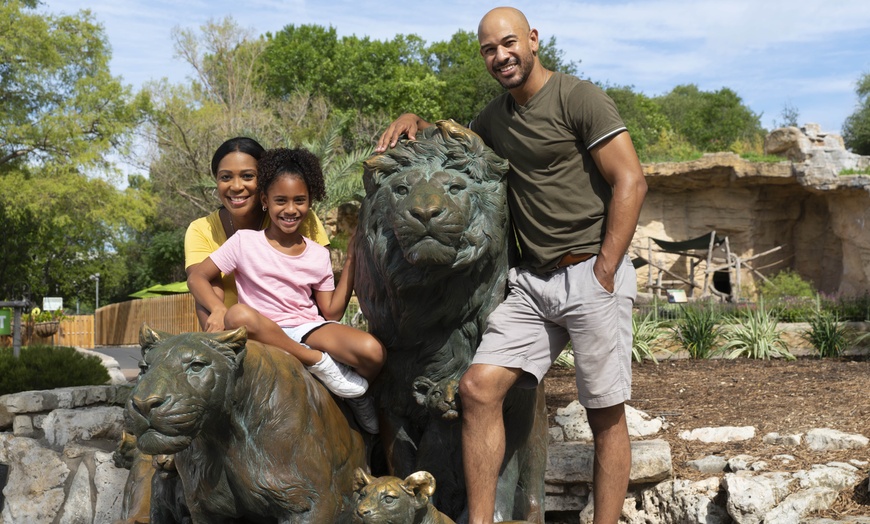 Image 17: FLASH SALE! Exhilarating Wildlife Adventure at San Antonio Zoo!