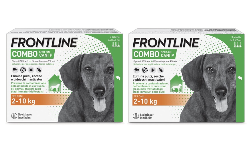 Image 15: Fino a 9 pipette Frontline Combo Spot-On per cani