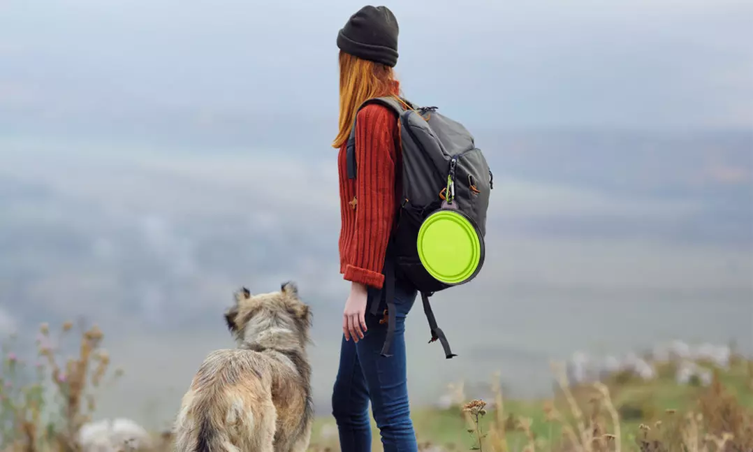 PetLuv Collapsible Silicone Travel Dog Bowls with Carabiners (4-Pack)