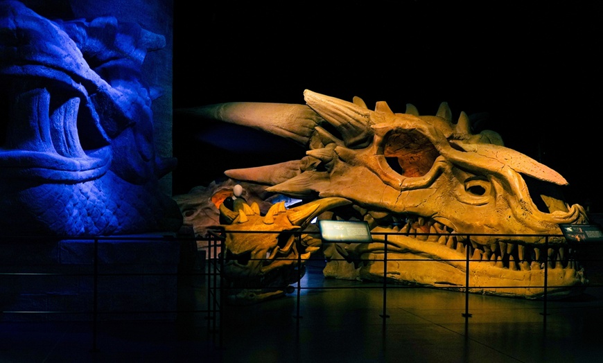 Image 10: Game of Thrones Studio Tour Experience 