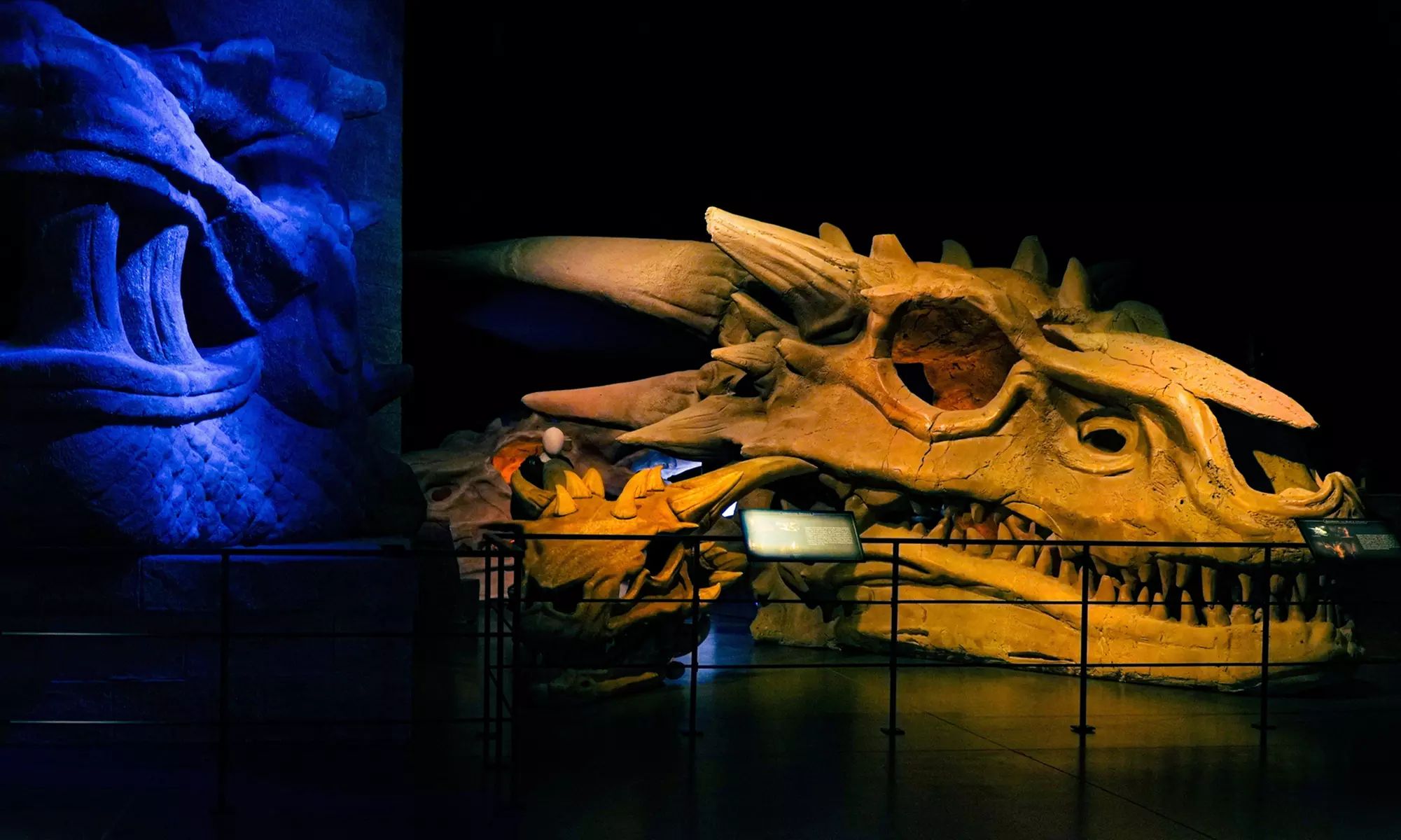 Game of Thrones Studio Tour Experience- Valid 7 Days