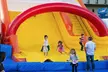Inflatable Park Jump Passes at Pick of the Patch Pumpkins at ABC Tree Farms. 5 Locations (Up to 37% Off) - Second Medium