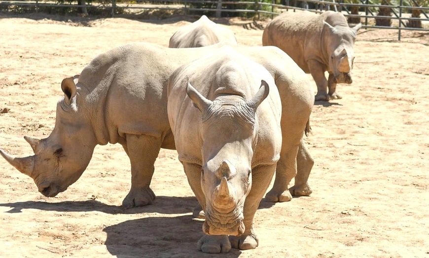 Image 6: Admission to Wildlife World Zoo, Aquarium, & Safari Park