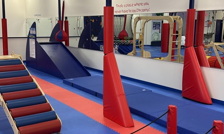 All-Day Open Play for 1 Child - We Rock The Spectrum  Yorkville