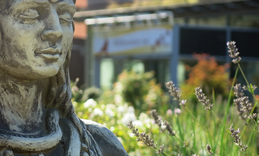 Image 2: Teutoburger Wald: 2 Nächte mit Verpflegung und Yoga-Seminar