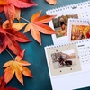 Image 2: One, Two, Three, Five, or Ten Desk Calendars from Colorland