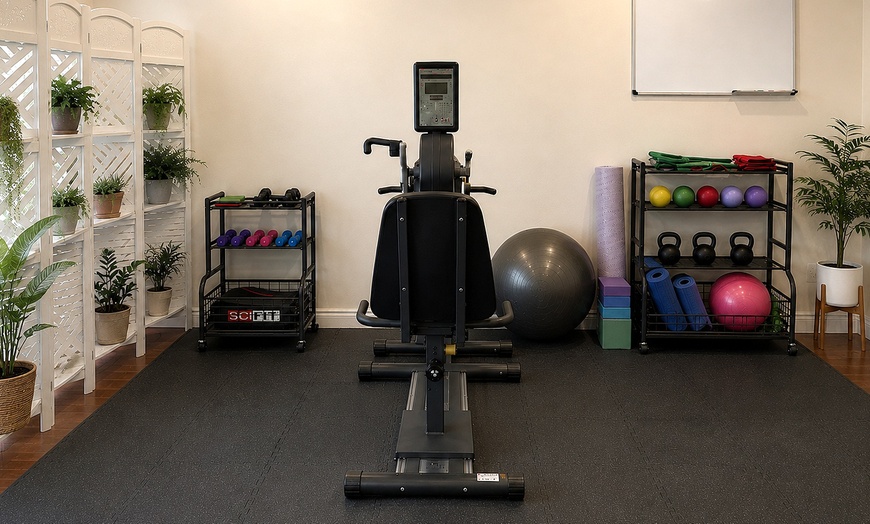 Image 2: Targeted Physical Therapy and Massage Sessions