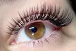 Full Set of Classic, Hybrid, Volume or Wet Look Eyelash Extensions or Lash Lift and Tint ( Up to 30% Off ) - Second Medium