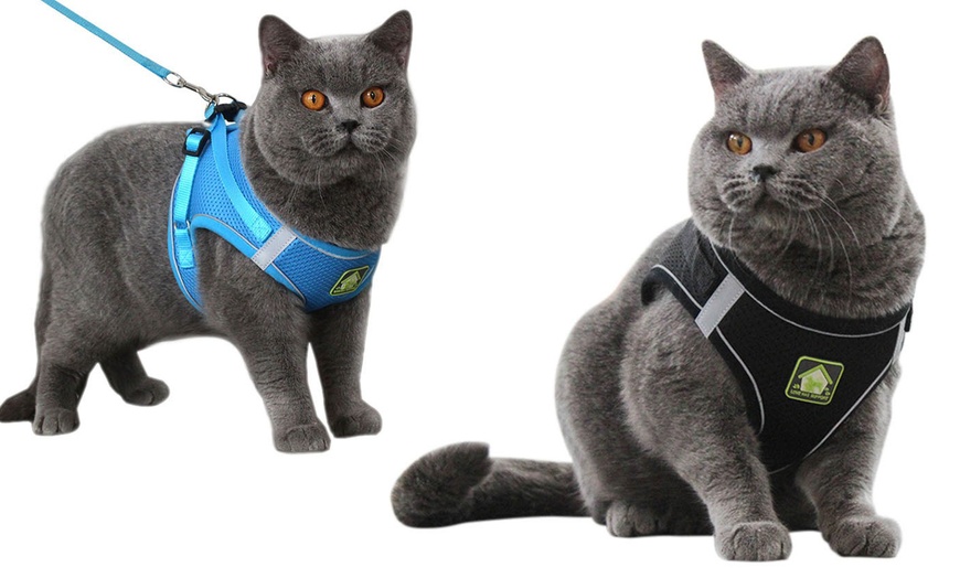Image 2: Breathable Mesh Step-In Harness and Leash Set for Small Dogs