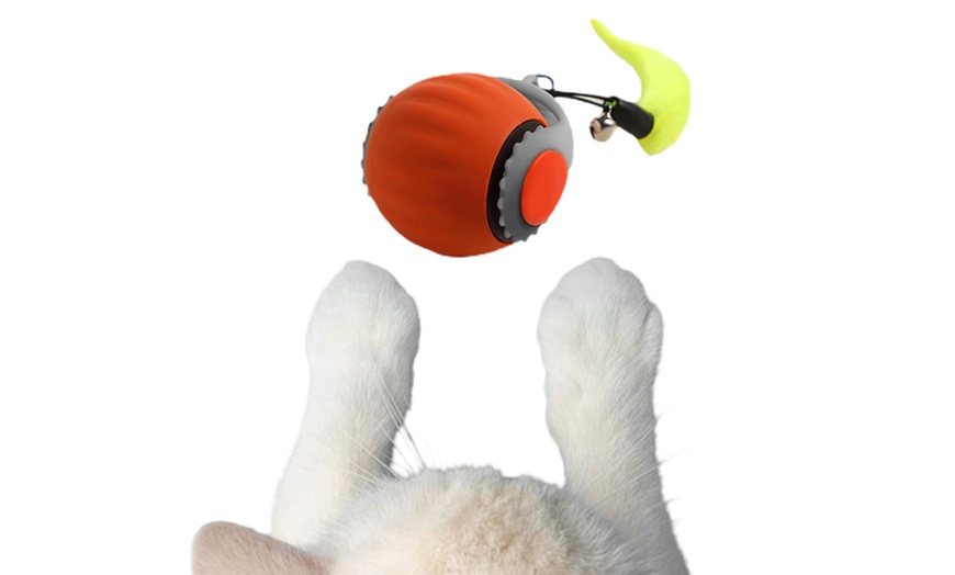 Image 17: Automatic Moving Cat Toy Ball: 1Pcs; FREE SHIPPING