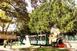 Cottontail Express: Ticket for 1, 2 or 4 People for (Valid for March 29 - 30 and Apr 6, 12, 13, 17, 18 & 19 - Second Medium