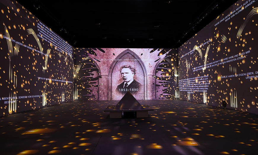 Image 11: Ticket für Van Gogh Ausstellung Hannover, einlösbar vom 12.11.-23.12.