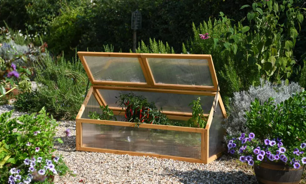 Garden Gear Wooden 3-Tier Greenhouse or XL Cold Frame