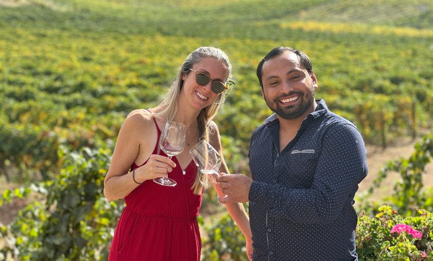 Image 1: Experience a Temecula Wine Tasting Tour w/ Optional Lunch for One