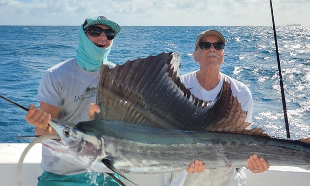 What to expect media