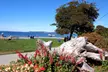 Tales & Tranquility – A 3-Hour Live Guided Tour of Seattle's Stories and Scenery - Second Medium