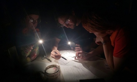 Solve a Murder Mystery for 4+ people - Any Scenario! - A Murder Among Us - QR Murder Mystery Games  in Alexandria, VA