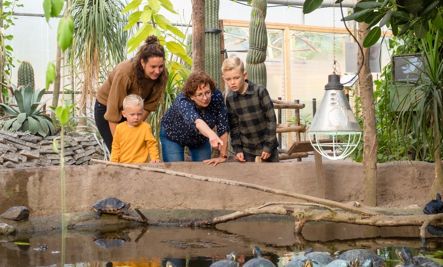 Image 2: Entreeticket Dierenpark Almere Jungle + hapje en drankje