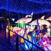 Image 2: Save on Admission to Bronx Zoo’s Holiday Lights Spectacular!
