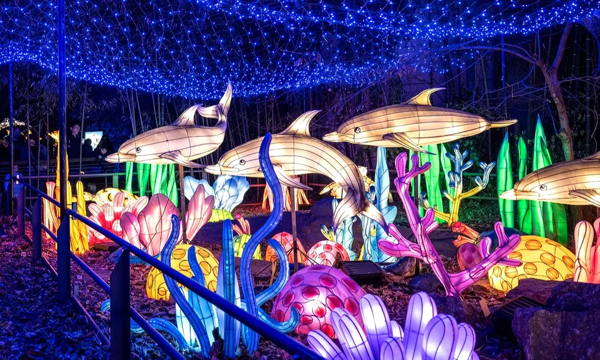 Save on Admission to Bronx Zoo’s Holiday Lights Spectacular!