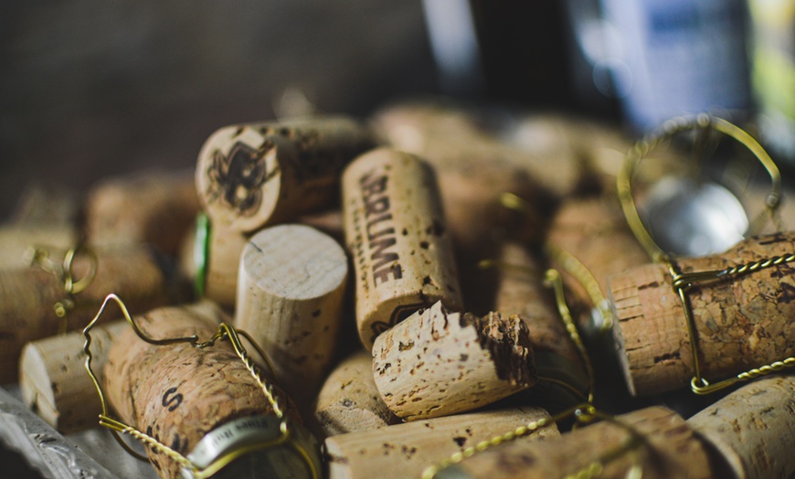 Image 5: Dégustation - assemblage de vin au chanvre dans un chai avec Brume CBD