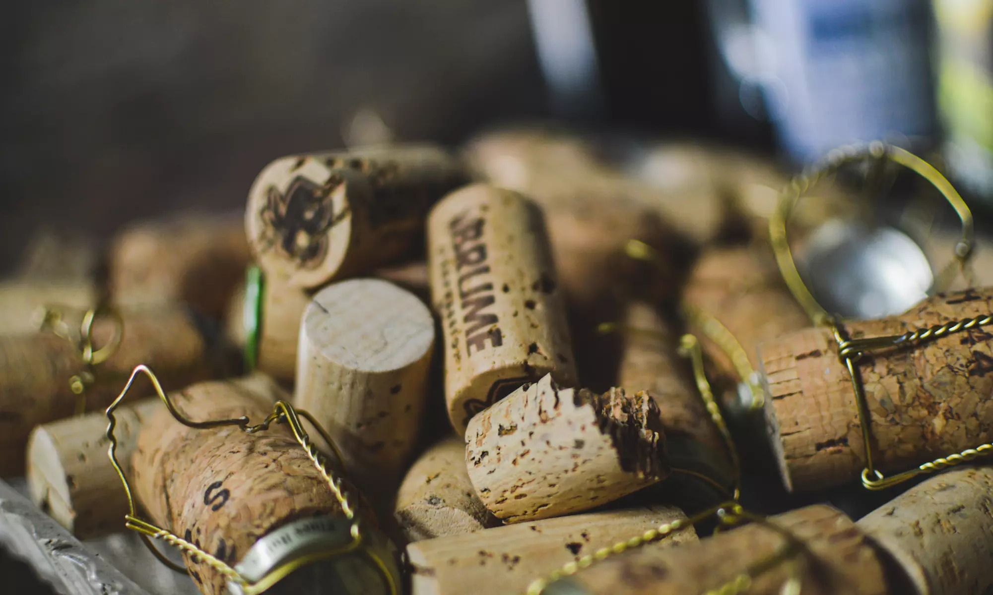 Dégustation - assemblage de vin au chanvre dans un chai avec Brume CBD